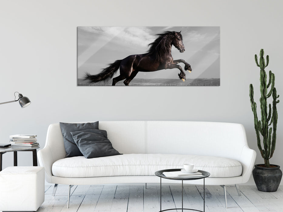 anmutiger Hengst auf Wiese, Glasbild Panorama
