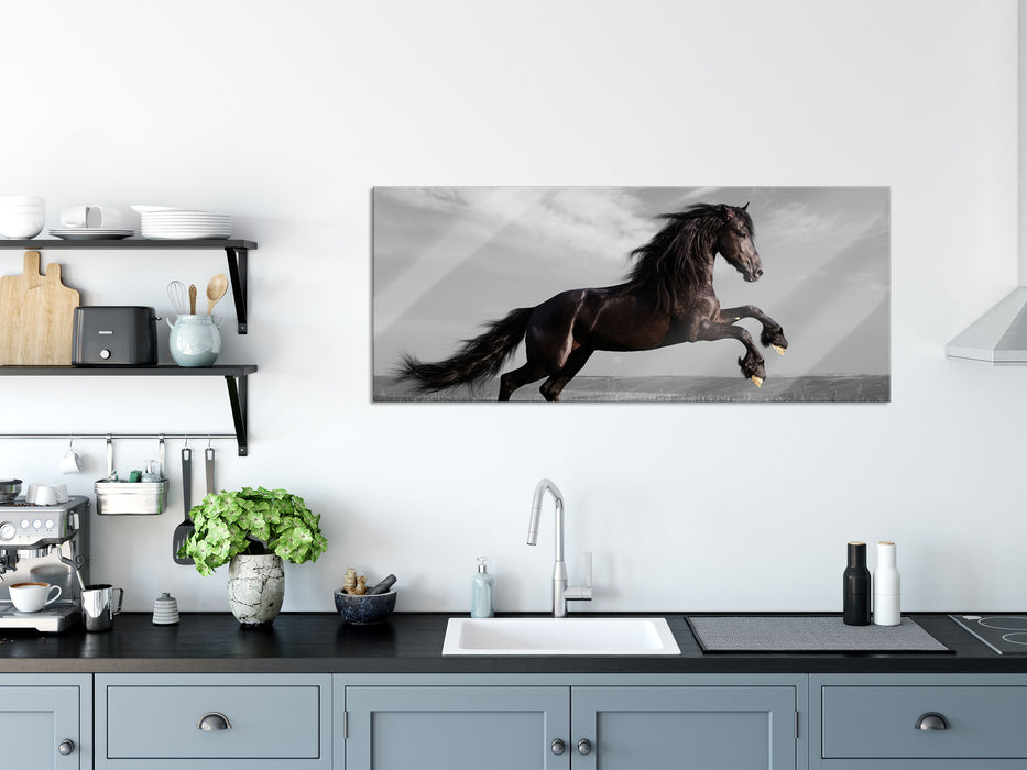 anmutiger Hengst auf Wiese, Glasbild Panorama