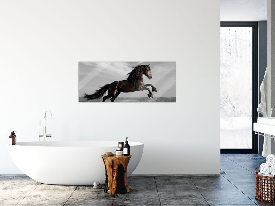 anmutiger Hengst auf Wiese, Glasbild Panorama