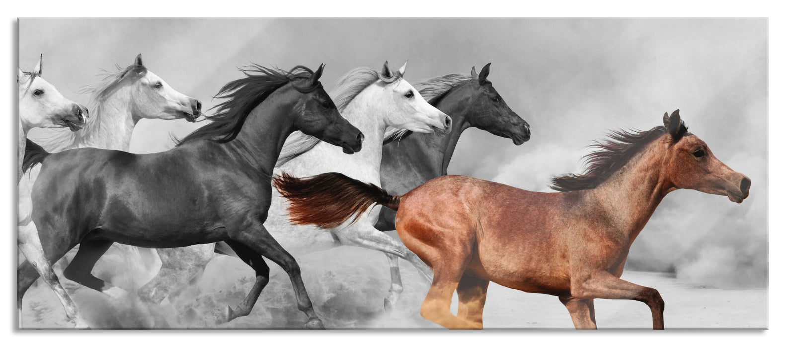 Pixxprint Mustangs in der Wüste, Glasbild Panorama