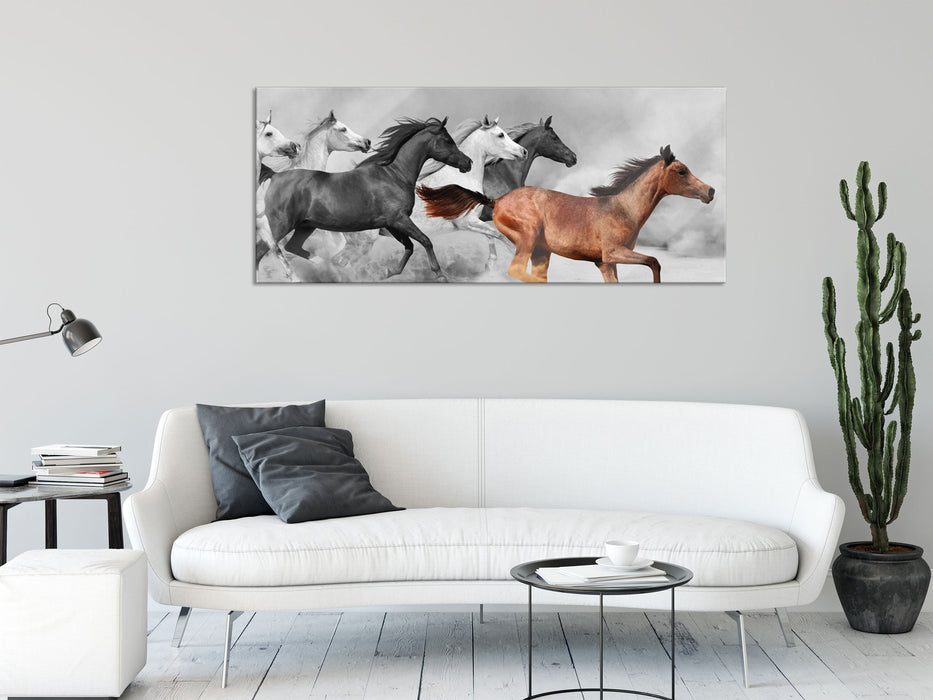 Mustangs in der Wüste, Glasbild Panorama