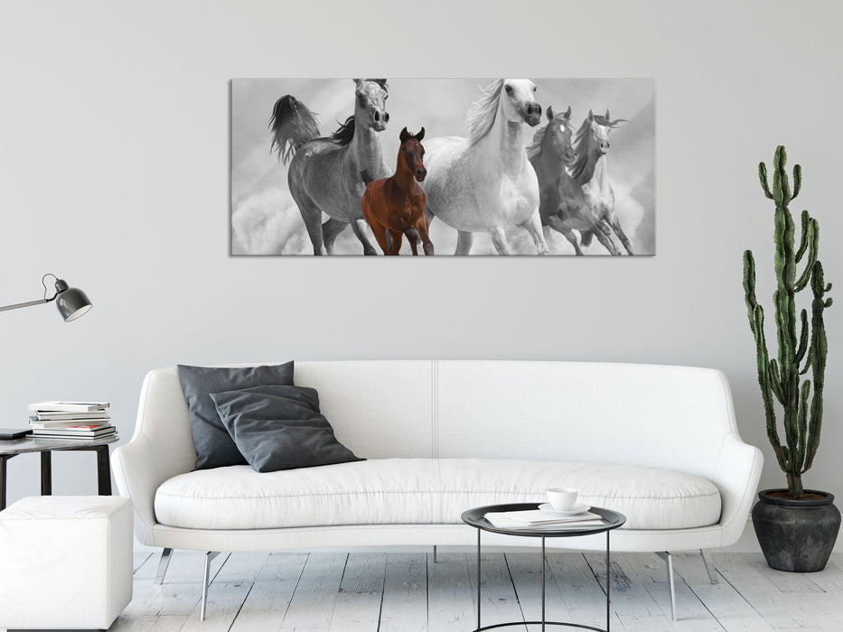 Mustangs in der Wüste mit Fohlen, Glasbild Panorama