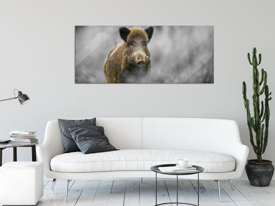 einsames Wildschwein im Wald, Glasbild Panorama