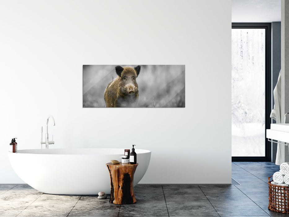 einsames Wildschwein im Wald, Glasbild Panorama