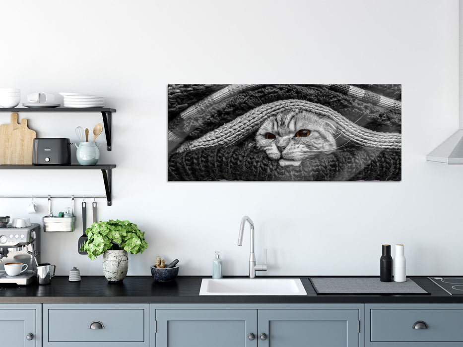 stinkige Katze zwischen Pullovern, Glasbild Panorama