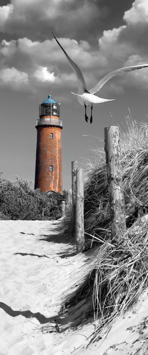 Leuchtturm mit Möwe an Strandweg, Glasbild Panorama