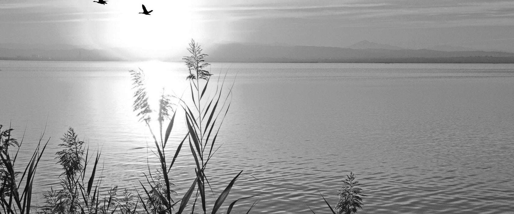 Sonnenuntergang am See, Glasbild Panorama