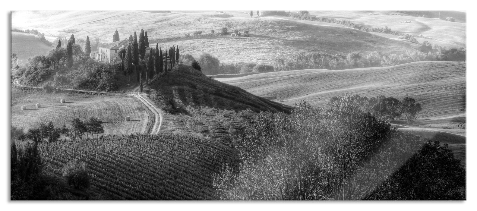 Pixxprint Heuballen Toskana, Glasbild Panorama