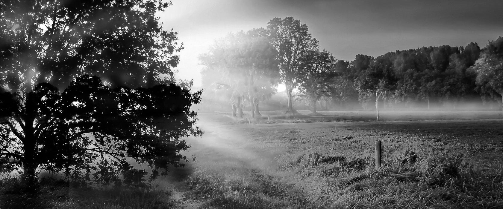 schöne Lichtung im Wald, Glasbild Panorama