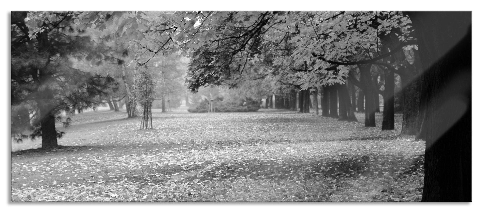 Pixxprint schöner Park im Herbst, Glasbild Panorama