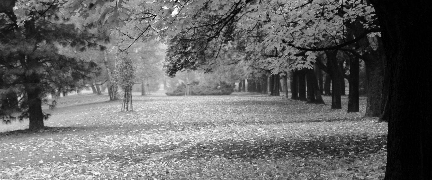 schöner Park im Herbst, Glasbild Panorama