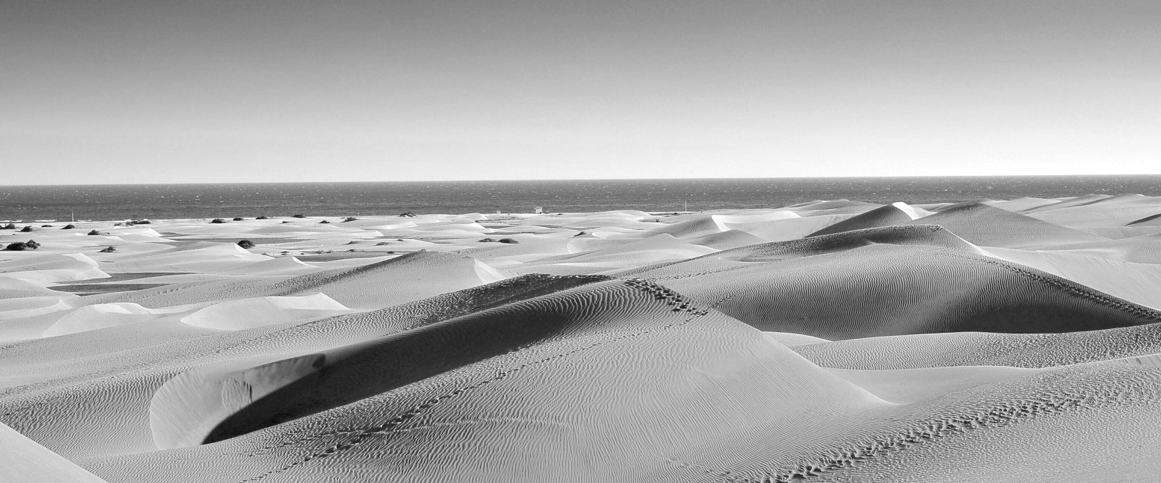 schöne Wüste am Meer, Glasbild Panorama