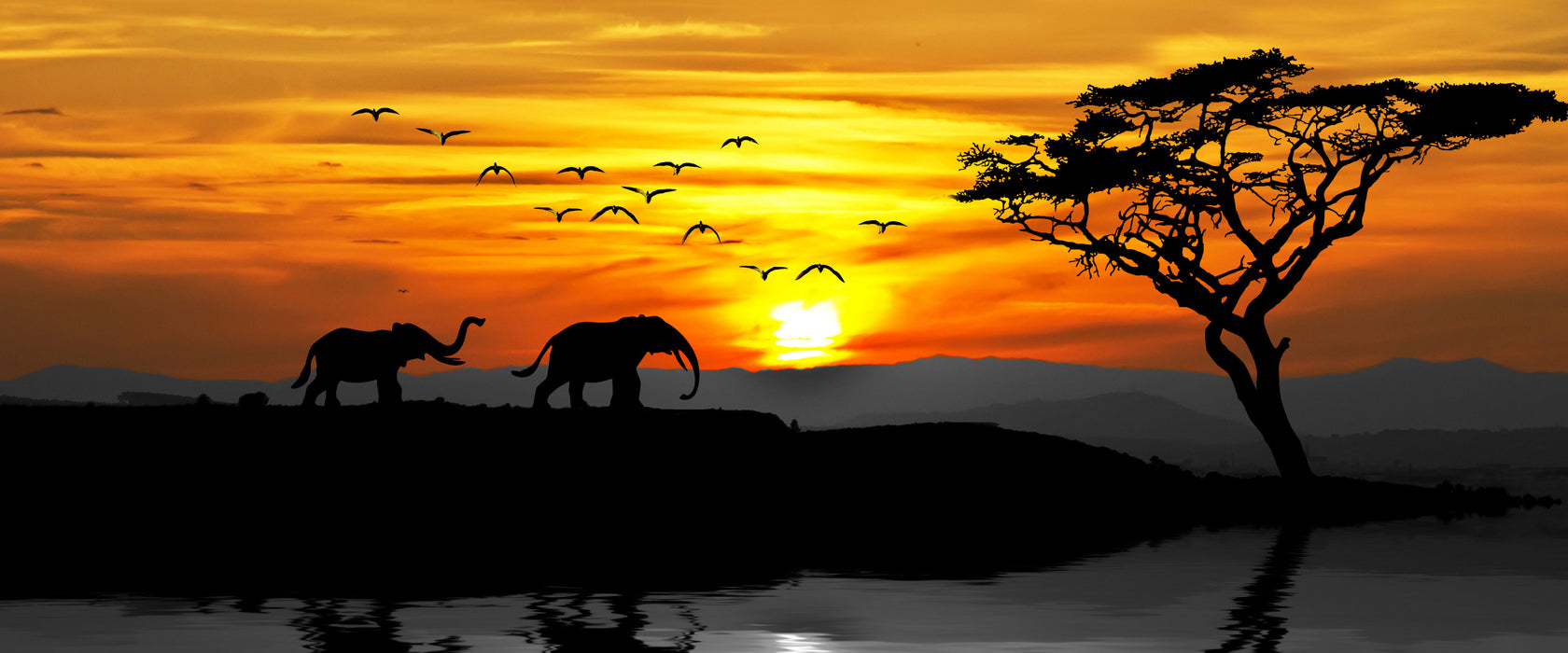 Afrikanische Steppe mit Elefanten, Glasbild Panorama