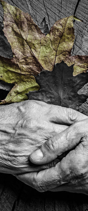 Hände zusammen vor Blättern, Glasbild Panorama