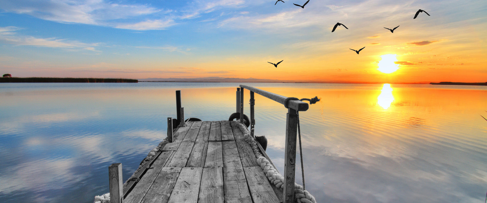 schöner Steg mit Möwen, Glasbild Panorama