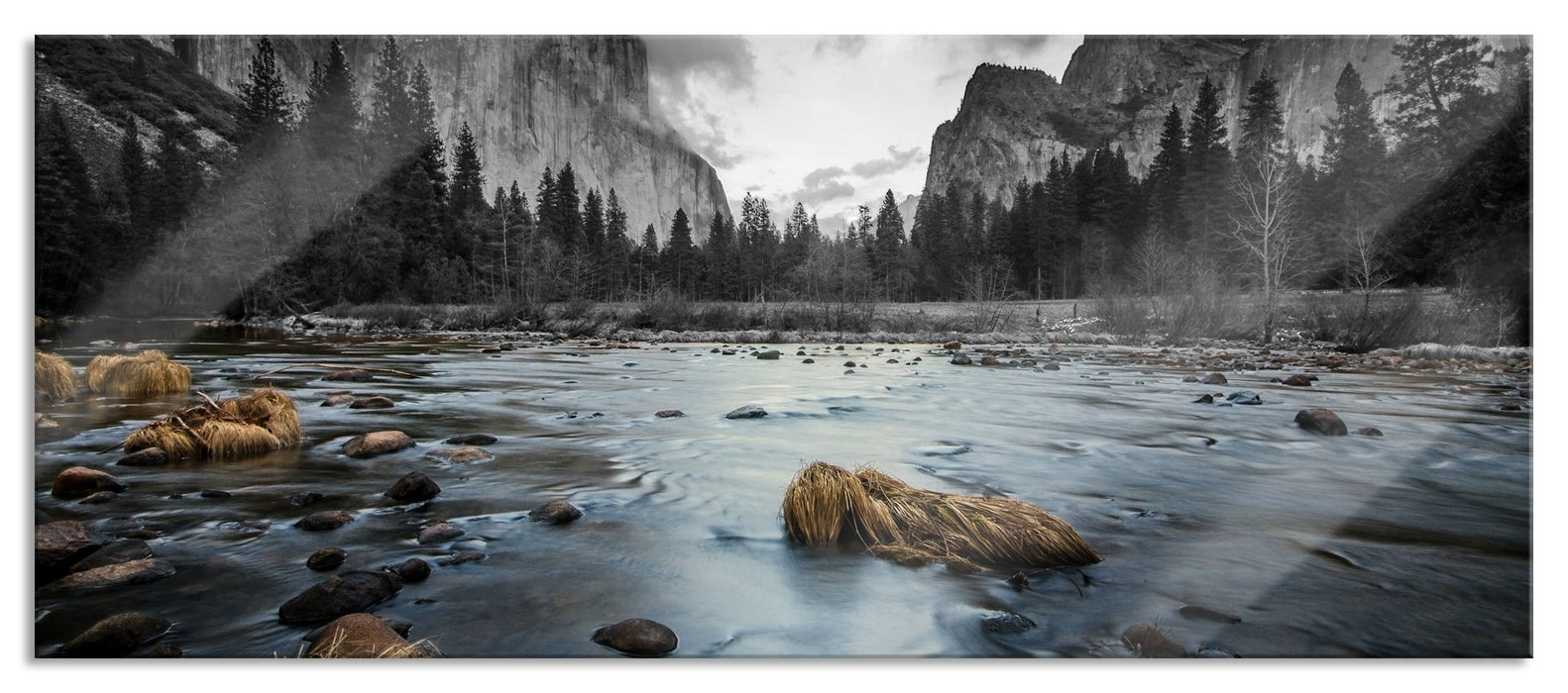 Pixxprint seichter Fluss im Wald, Glasbild Panorama