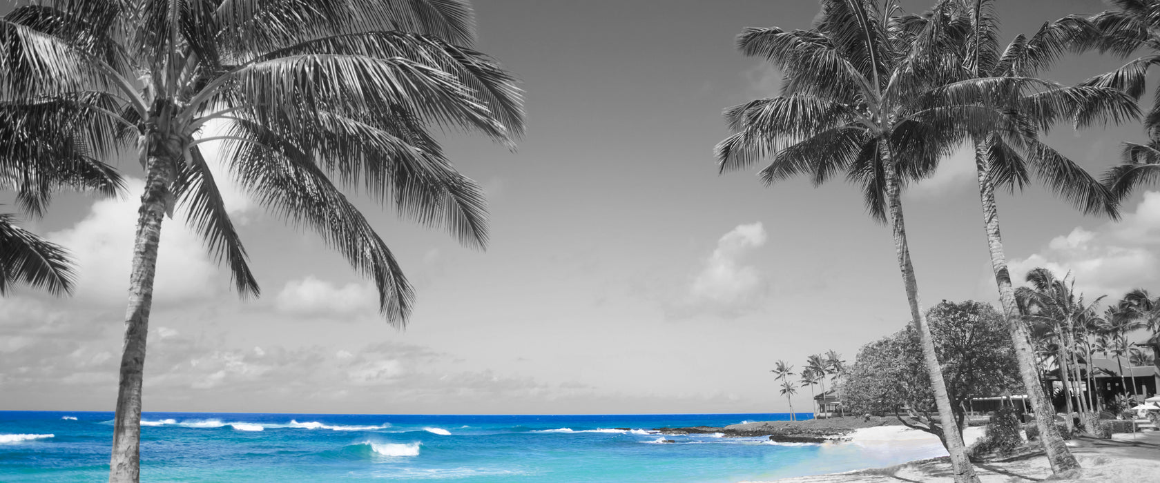 schöner Strand mit Palmen, Glasbild Panorama