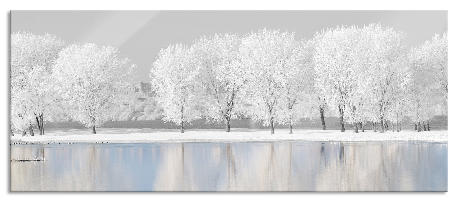 schneebedeckte Bäume an einem See, Glasbild Panorama