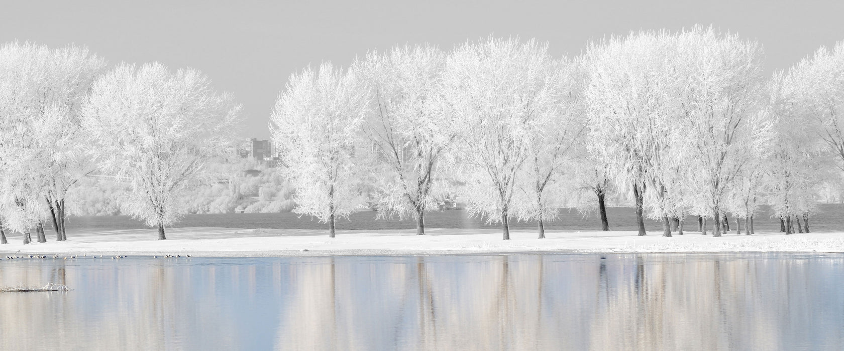schneebedeckte Bäume an einem See, Glasbild Panorama