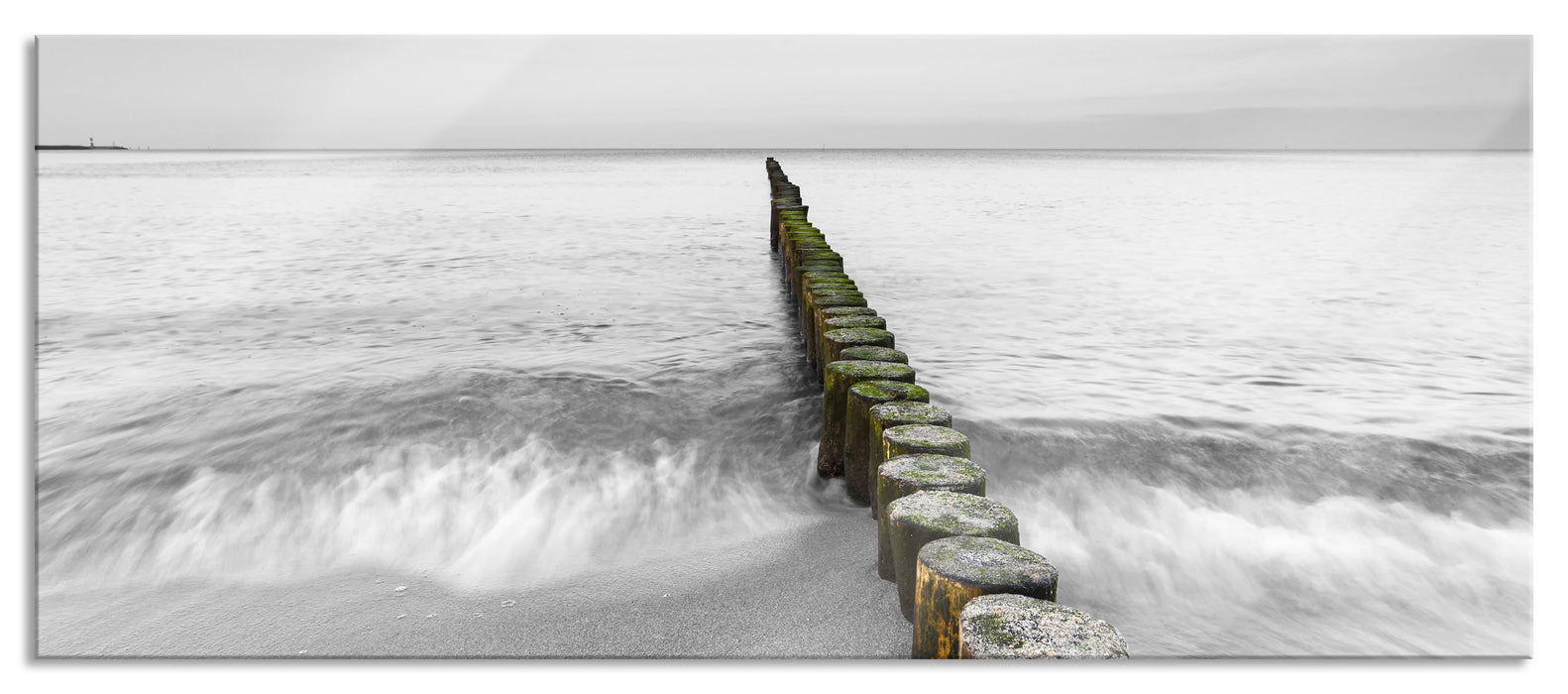 Pixxprint kleine Baumstümpfe im Meer, Glasbild Panorama