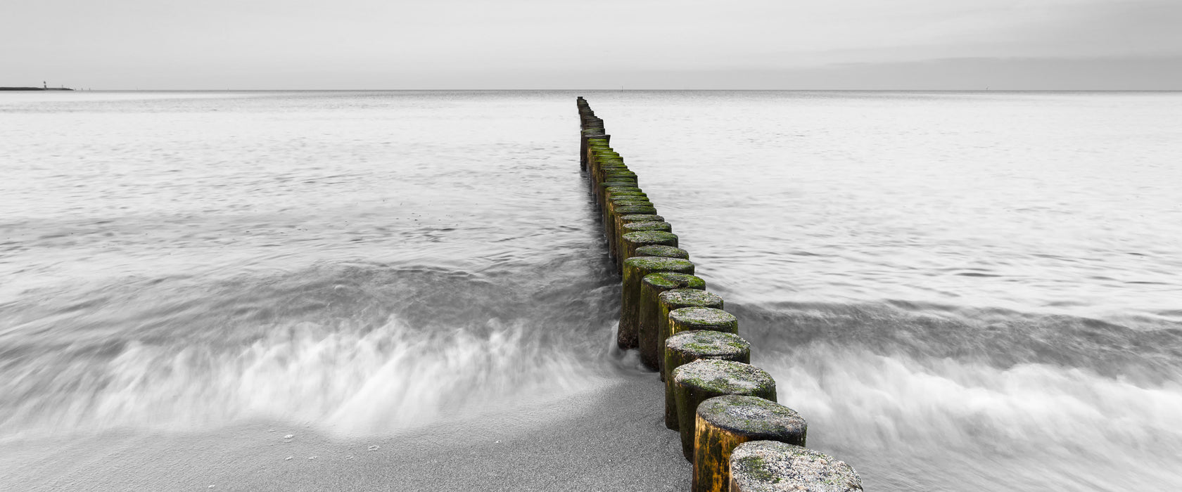 kleine Baumstümpfe im Meer, Glasbild Panorama