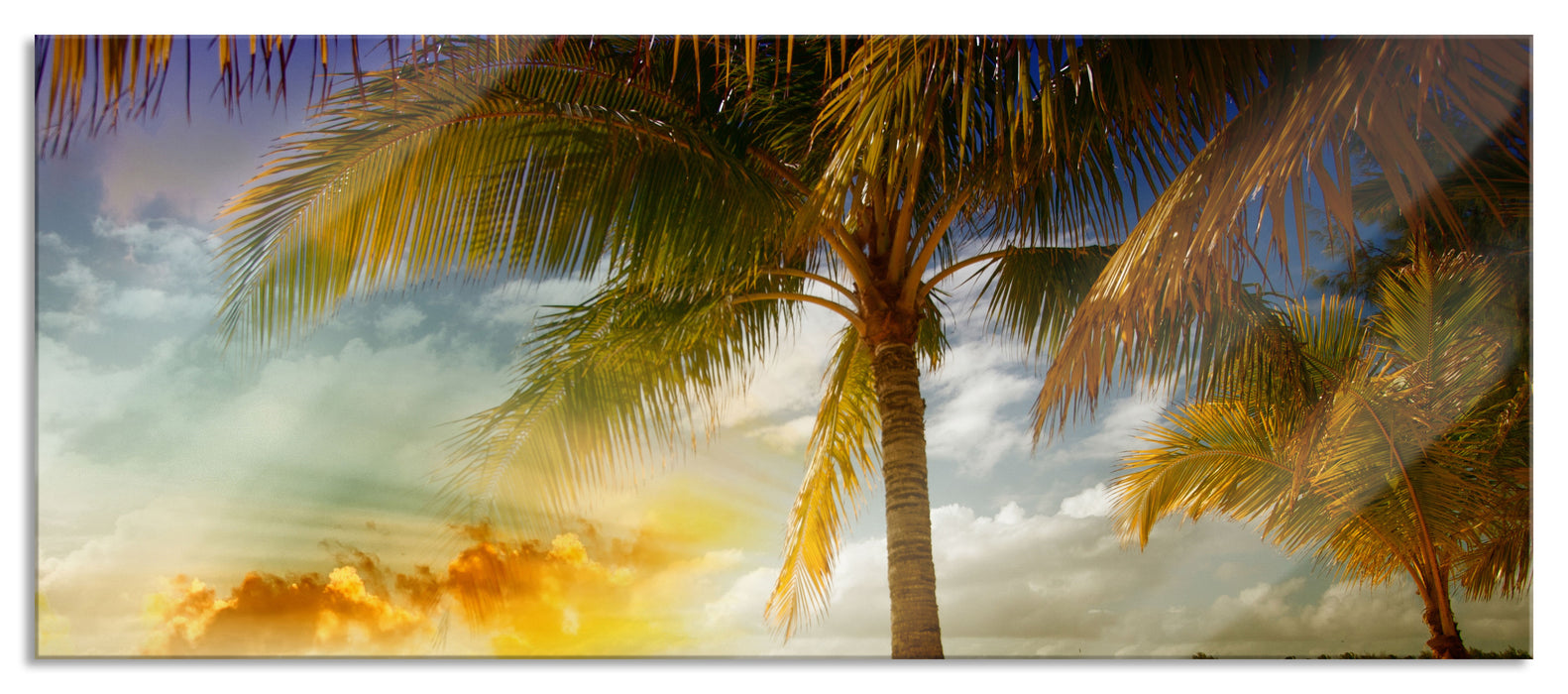 Liegestühle Strand Palmen, Glasbild Panorama