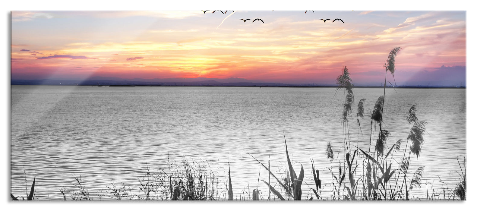 Pixxprint Steg mit Ausblick auf das Meer, Glasbild Panorama