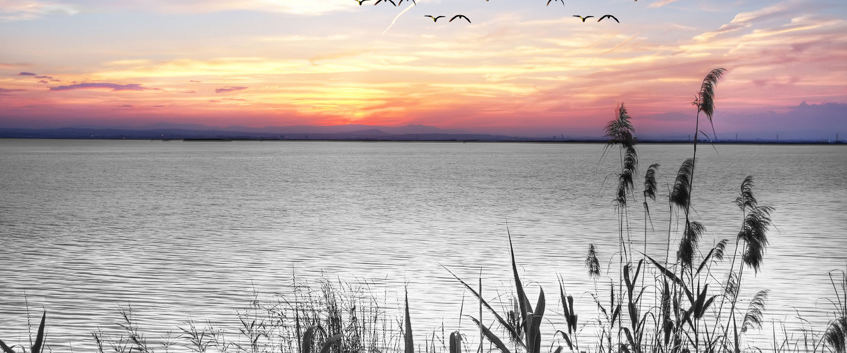 Steg mit Ausblick auf das Meer, Glasbild Panorama