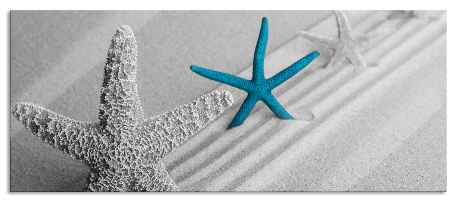 Pixxprint Seesterne am Strand, Glasbild Panorama