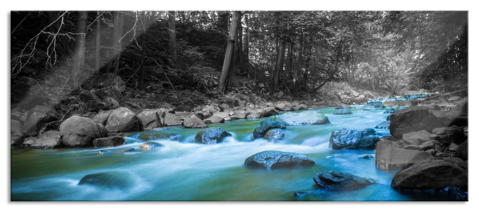 Pixxprint Fluss im Wald mit Steinen, Glasbild Panorama