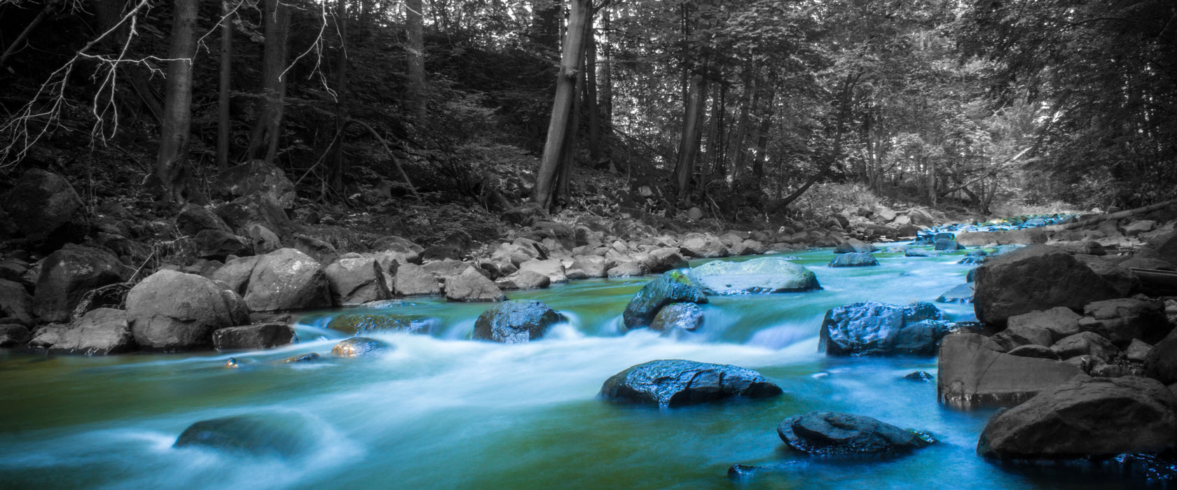 Fluss im Wald mit Steinen, Glasbild Panorama