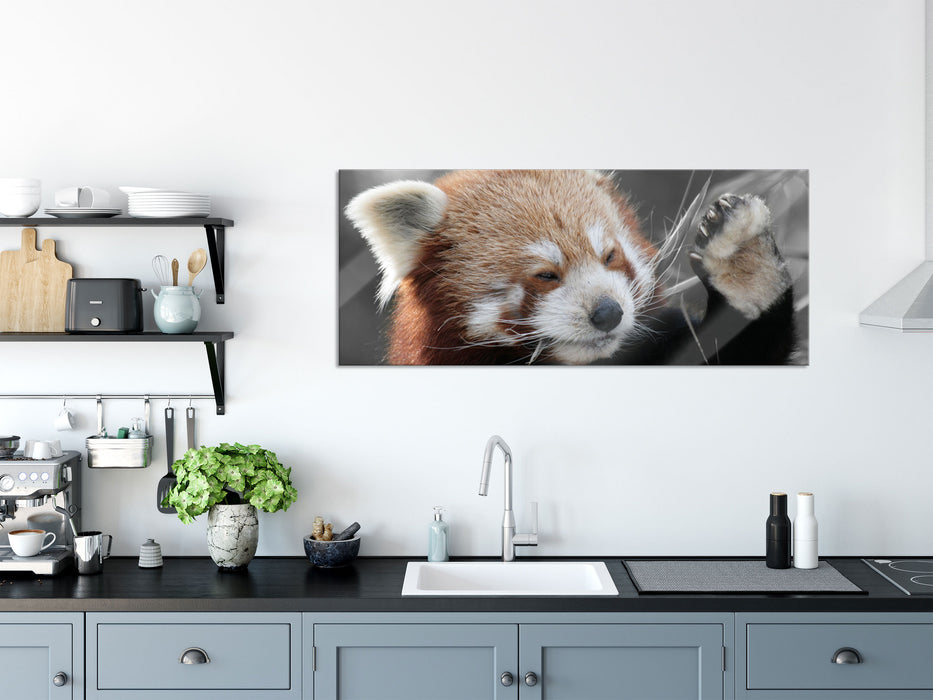 süßer Panda sagt Hallo, Glasbild Panorama