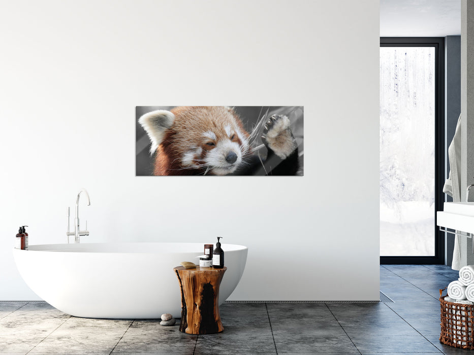 süßer Panda sagt Hallo, Glasbild Panorama