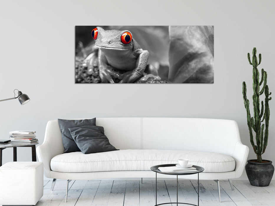 Süßer Rotaugenlaubfrosch auf Ast, Glasbild Panorama