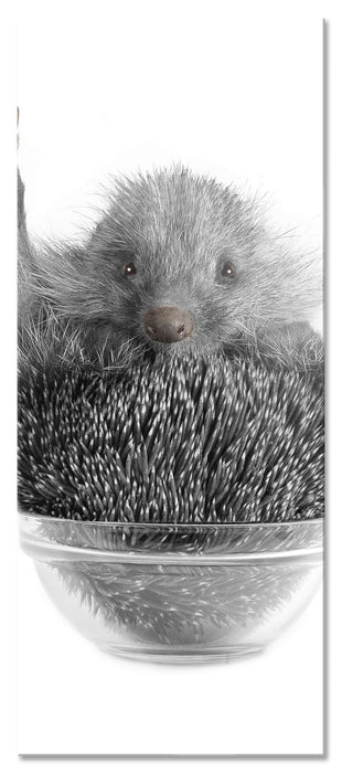 Pixxprint Igel in einer Schüssel, Glasbild Panorama