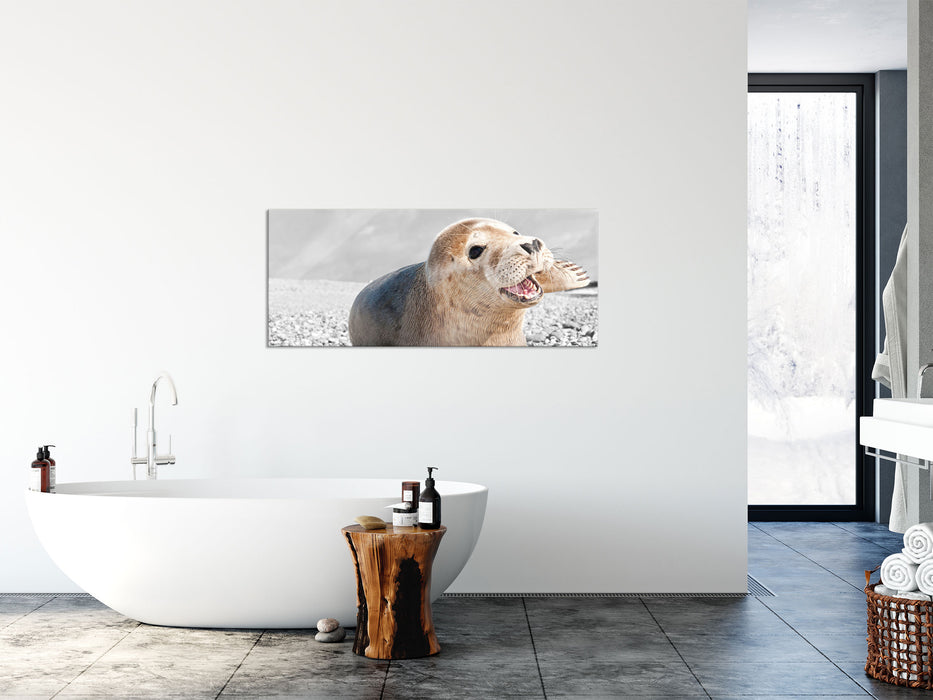 Babyrobbe am Strand, Glasbild Panorama