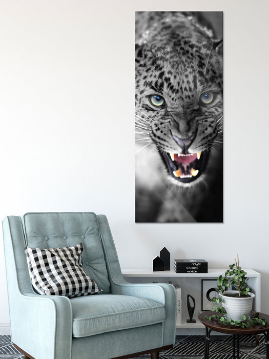 schöner fauchender Leopard, Glasbild Panorama