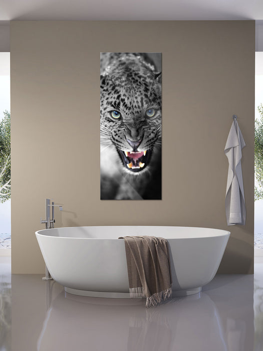 schöner fauchender Leopard, Glasbild Panorama