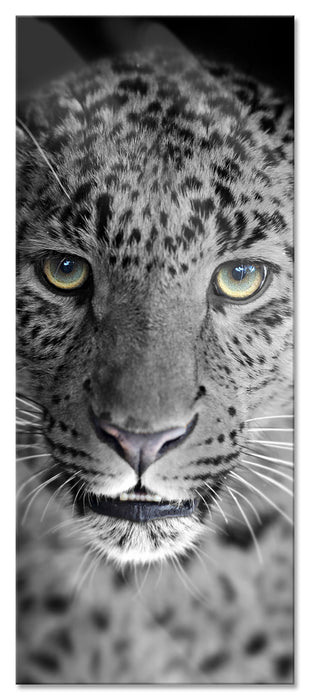 Pixxprint wunderschöner stolzer Leopard, Glasbild Panorama