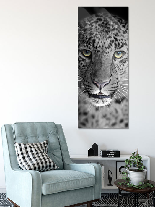 wunderschöner stolzer Leopard, Glasbild Panorama