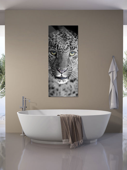 wunderschöner stolzer Leopard, Glasbild Panorama