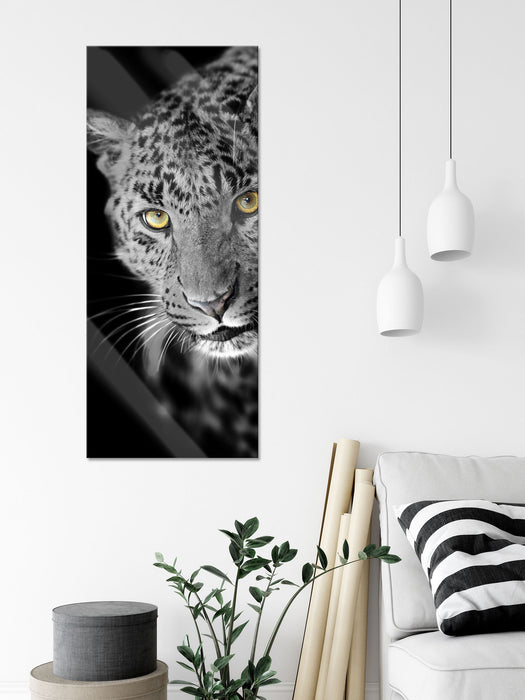 prächtig anmutiger Leopard, Glasbild Panorama