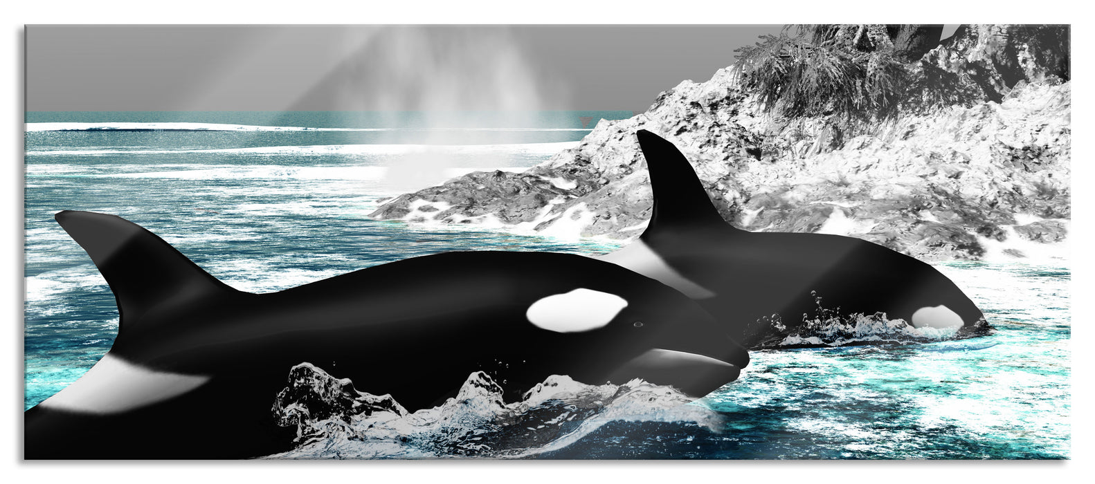 Pixxprint schöne Orcas vor Insel, Glasbild Panorama