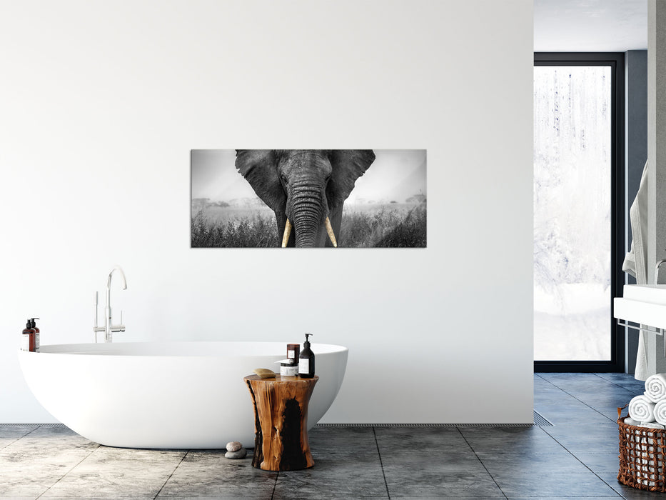 prachtvoller Elefant, Glasbild Panorama