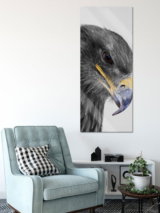 wunderschöner Adler im Portrait, Glasbild Panorama