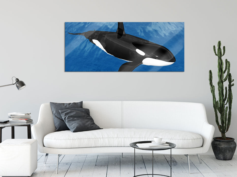 schöner Orca im Meer, Glasbild Panorama