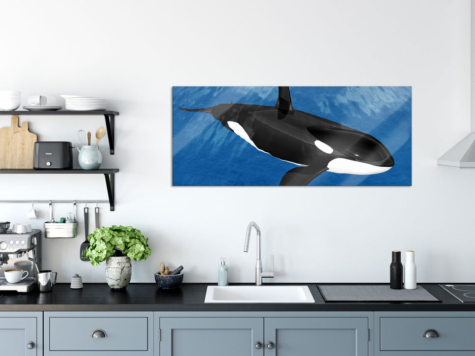 schöner Orca im Meer, Glasbild Panorama