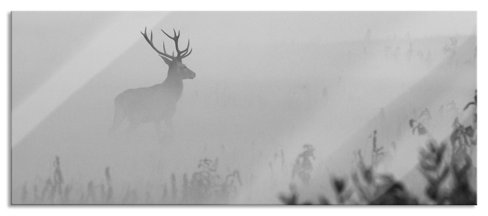 Pixxprint Hirsch im Nebel, Glasbild Panorama