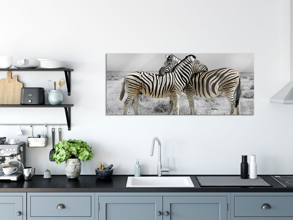 Zebras in der Savanne, Glasbild Panorama