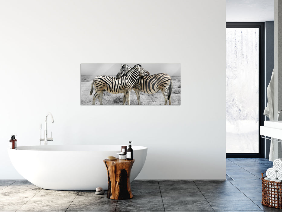 Zebras in der Savanne, Glasbild Panorama